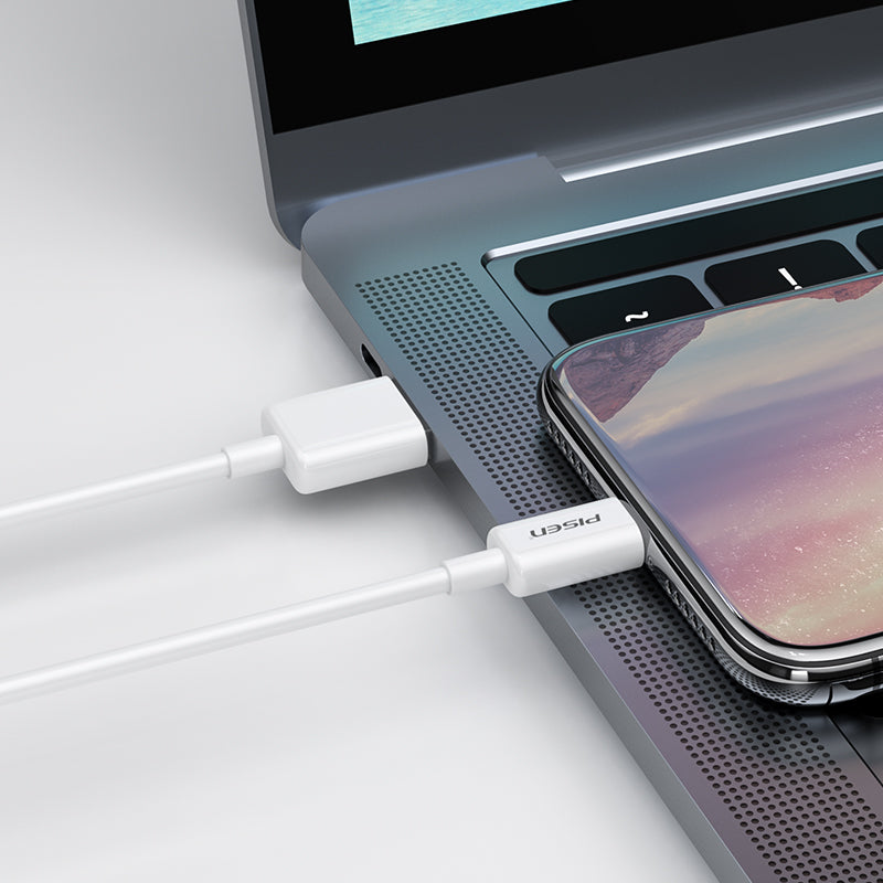 PISEN Mr White USB-A to Lightning Cable 1000mm (White) AL05-1000