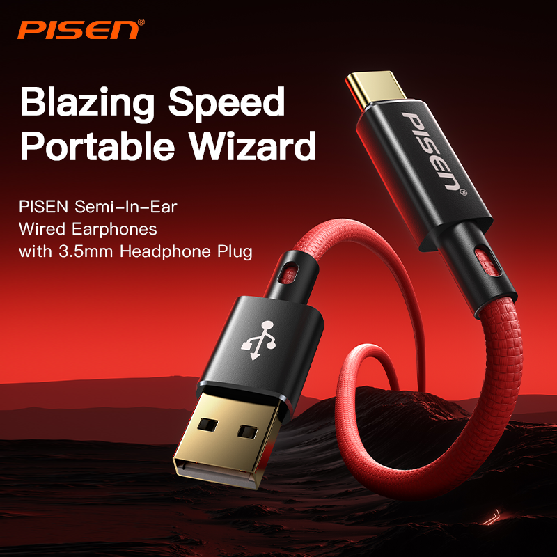 PISEN Platinum USB-A to USB-C Cable AC07-1000