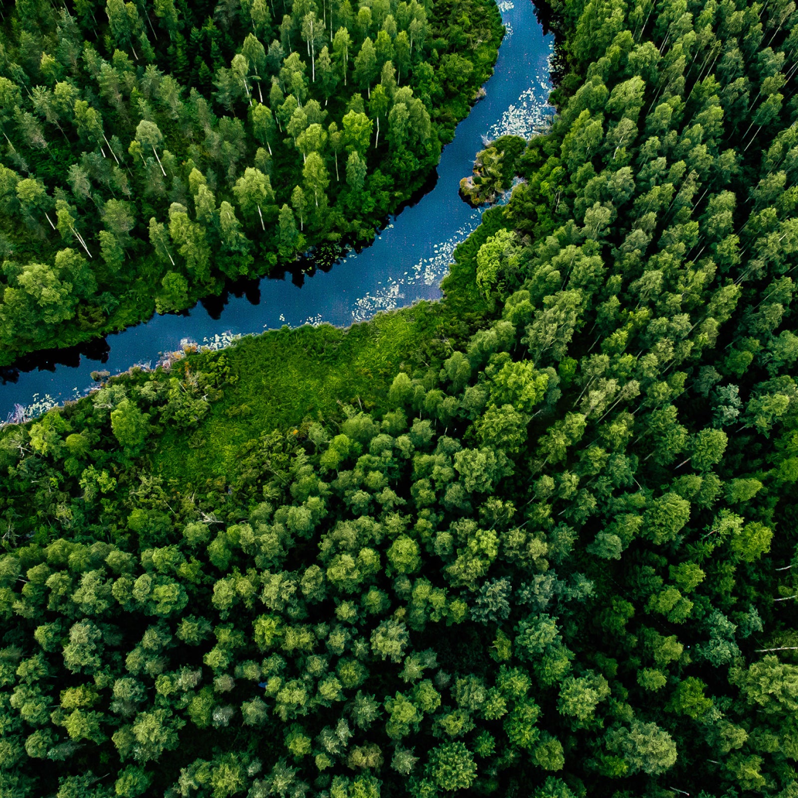 Earth Friendly